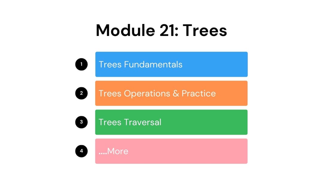 module.no23